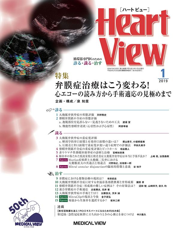 Heart View 2019年1月号