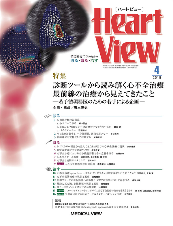 Heart View 2019年4月号