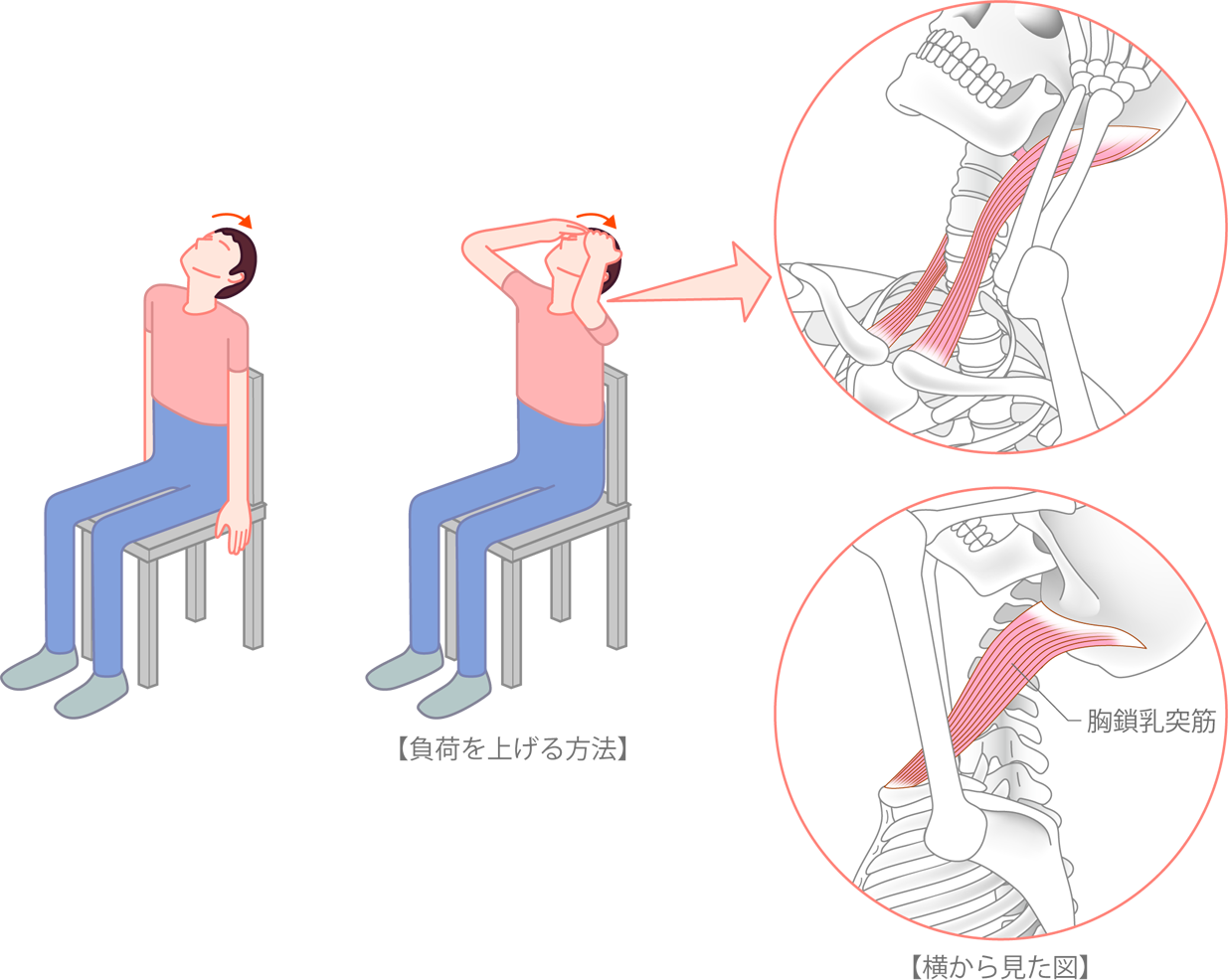 頚部屈筋群のストレッチ