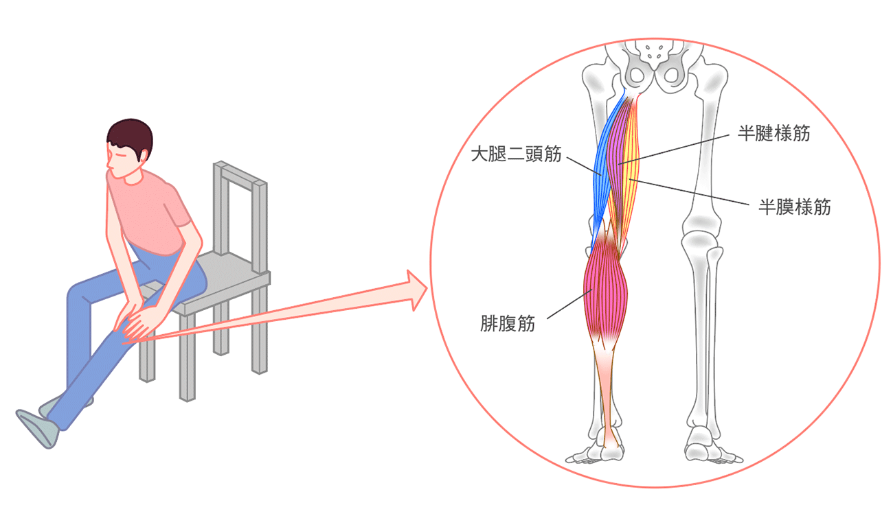 からだリセット疲労回復ストレッチ セルフマッサージ講座