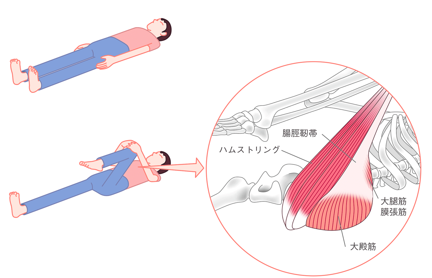 からだリセット疲労回復ストレッチ セルフマッサージ講座 からだリセット疲労回復ストレッチ セルフマッサージ講座