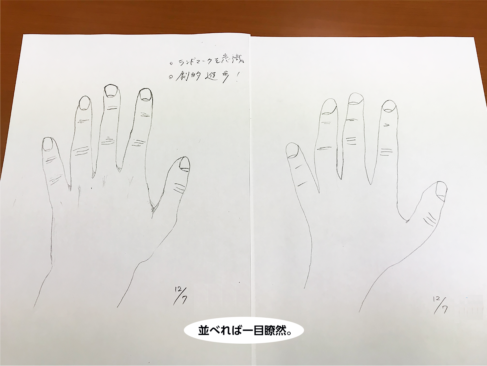 並べれば一目瞭然