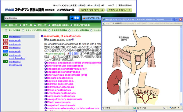 検索結果画面（「用例・例文検索」以外）