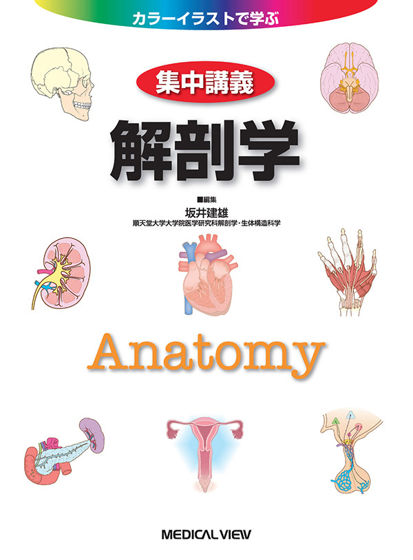 解剖学