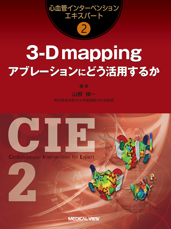 3-D mapping:アブレーションにどう活用するか