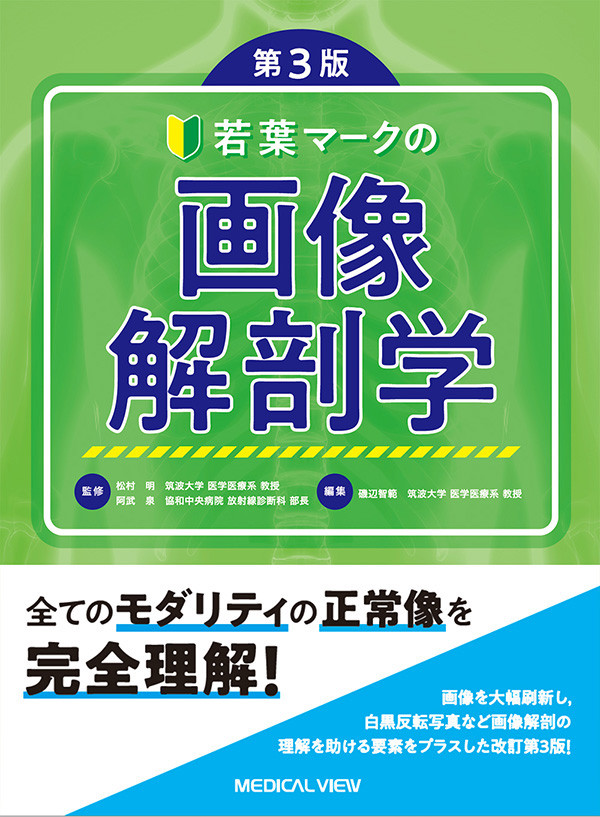 若葉マークの画像解剖学