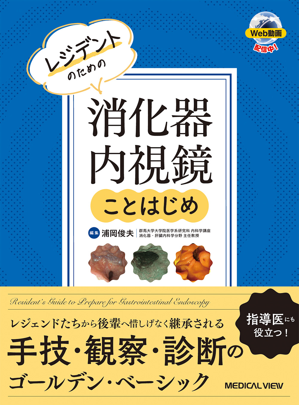 消化器内視鏡治療における高周波発生装置の使い方と注意点 改訂第2版 矢作 直久