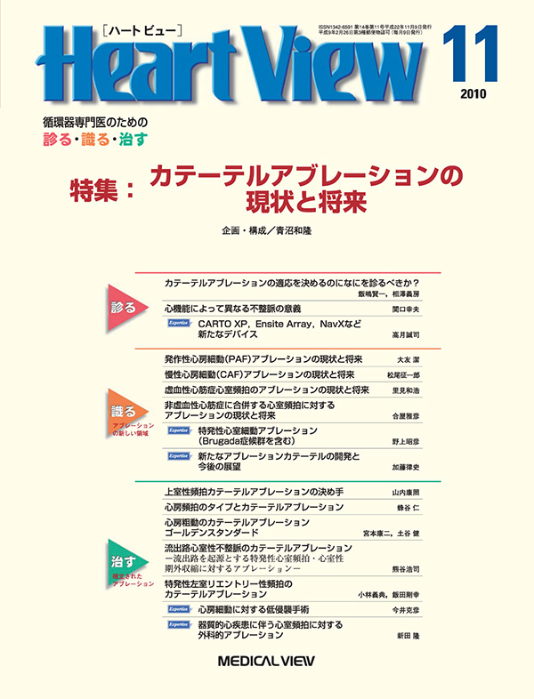 Heart View 2010年11月号
