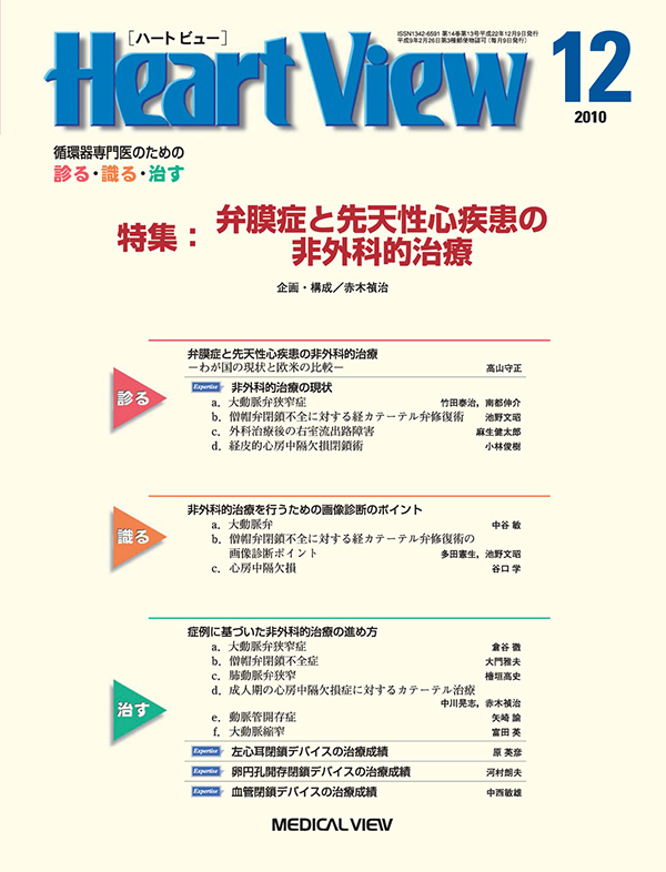 Heart View 2010年12月号