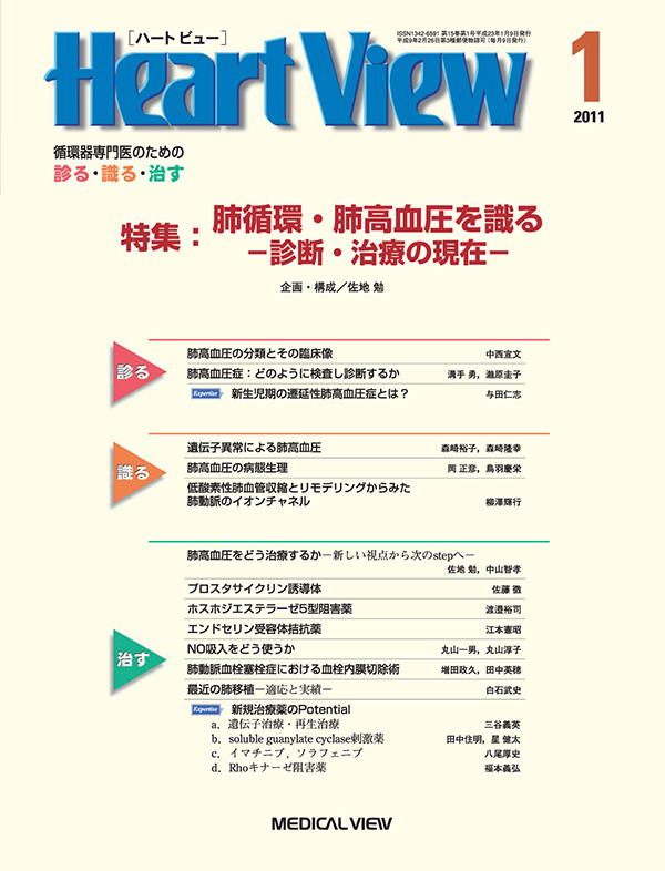 Heart View 2011年1月号