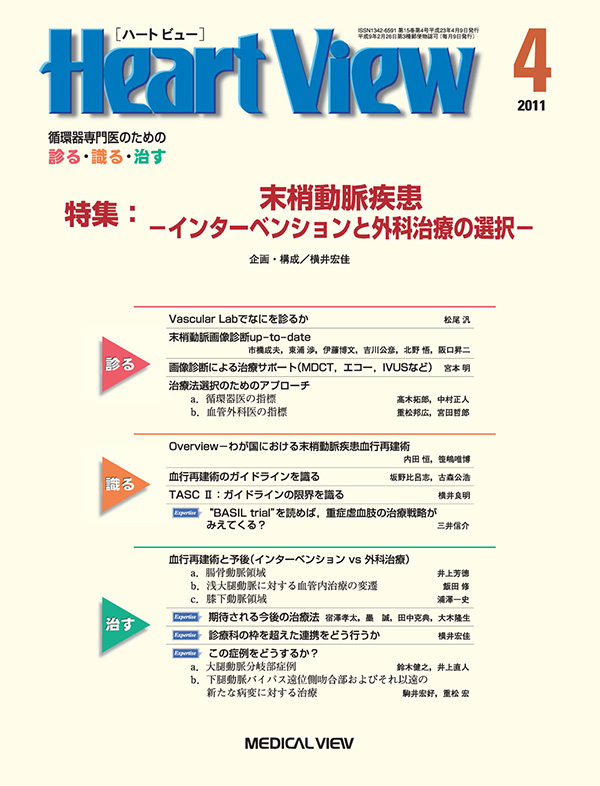 Heart View 2011年4月号