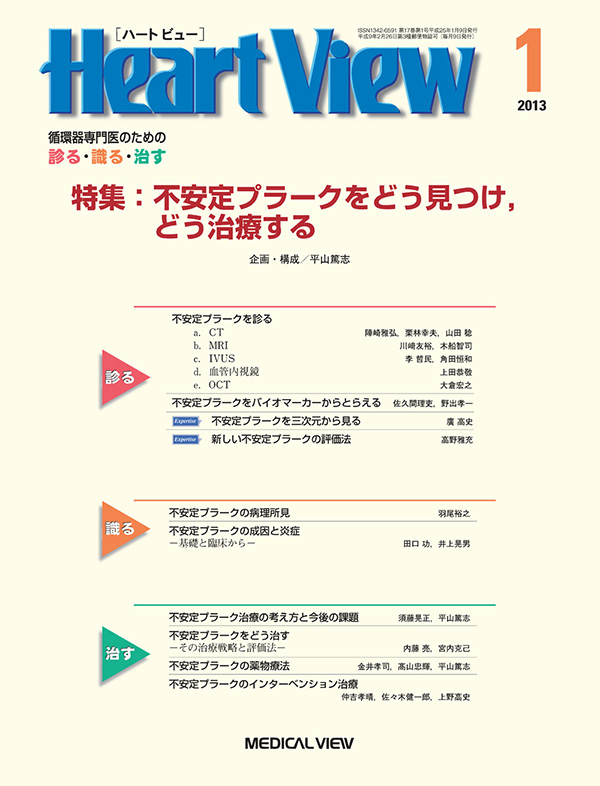 Heart View 2013年1月号