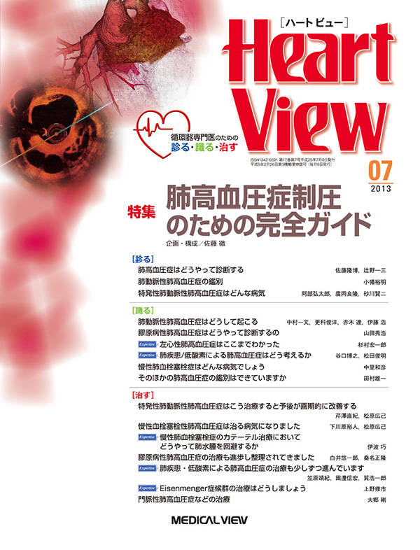 Heart View 2013年7月号