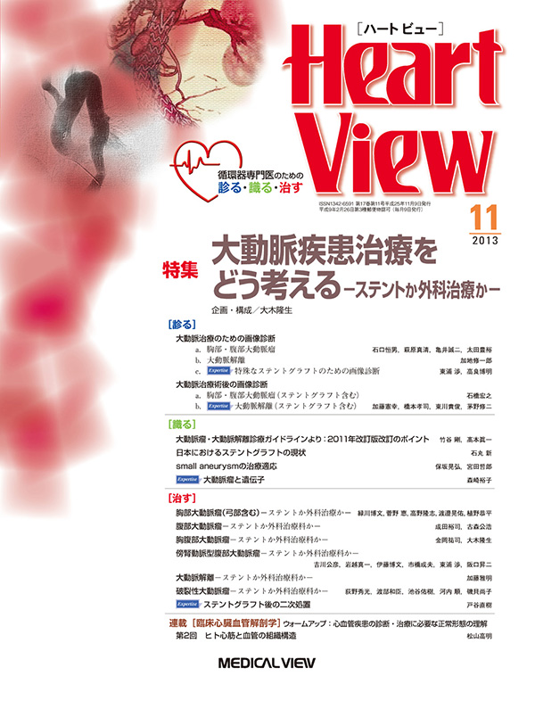 Heart View 2013年11月号
