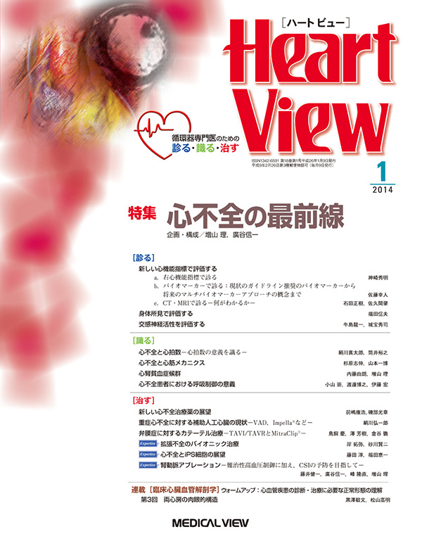 Heart View 2014年1月号