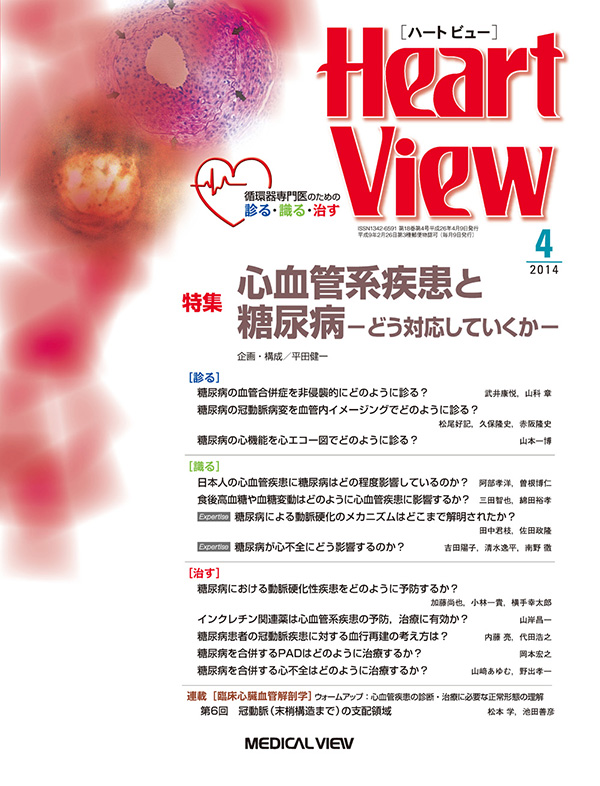 Heart View 2014年4月号
