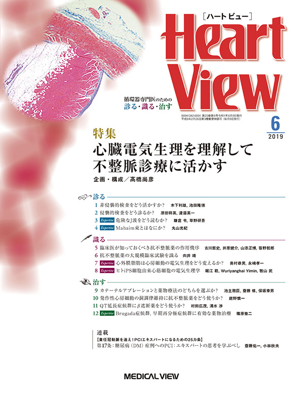 Heart View 2019年6月号