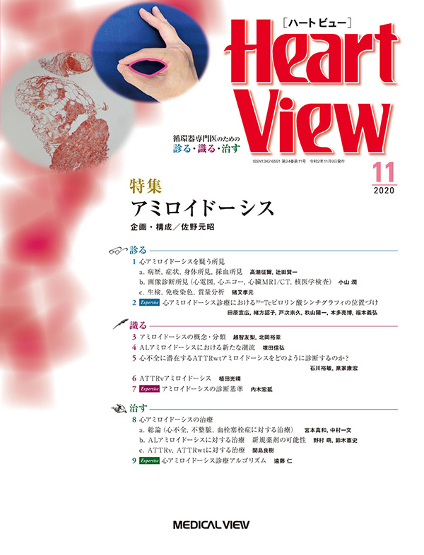 Heart View 2020年11月号