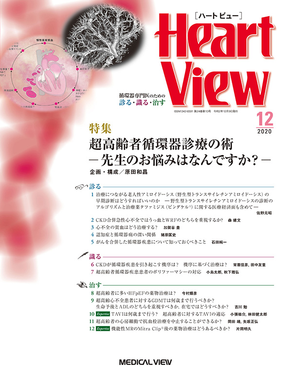 Heart View 2020年12月号