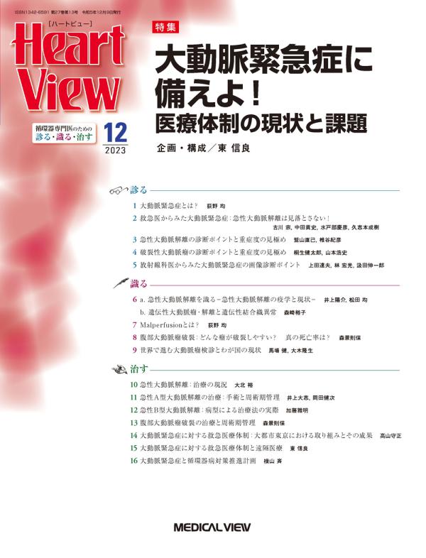 Heart View 2023年12月号