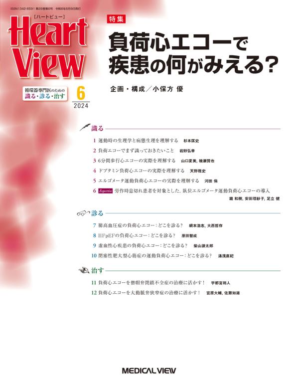 Heart View 2024年6月号