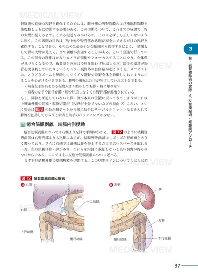 究める 腎・副腎腫瘍に対する腹腔鏡・ロボット支援手術［Web動画